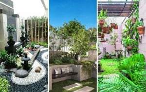 Contoh Desain Taman Belakang Kantor