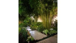 Landscape tropis