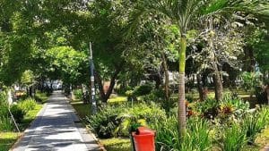 fungsi ruang terbuka hijau di perkotaan