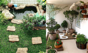Tanaman Hias Taman Rumah Minimalis
