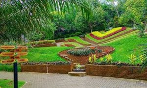 Jasa Pembuatan Taman di Kediri