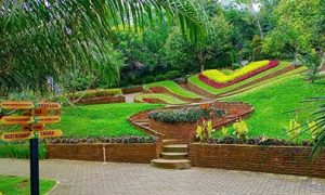 Pemborong Taman Kediri