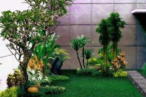 Taman Hias Rumah Minimalis