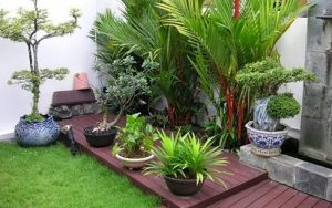 Taman Hias Rumah Minimalis