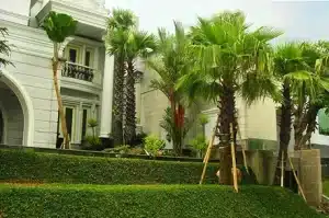 taman depan rumah lahan luas