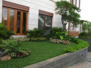 Taman Mewah Depan Rumah 3