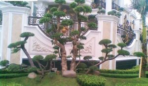 Jasa Pembuatan Taman dan Kontraktor Taman Salatiga 2023
