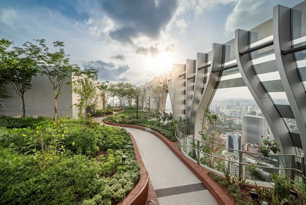 7 Desain Taman Rooftop Terindah dan Terbaik di Dunia