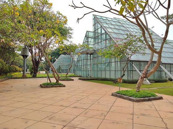 Taman Minimalis untuk Hunian Modern