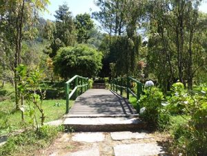 taman arboretum