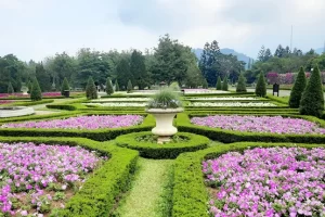 taman bunga