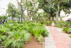 taman kota tropis