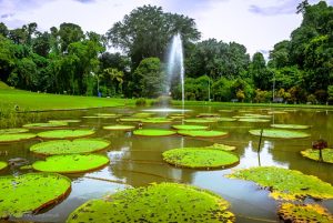 taman raya