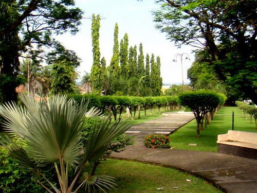 Jasa Pembuatan Taman Tasikmalaya