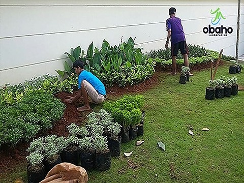 Taman Kediri - Tukang Taman Kediri 12