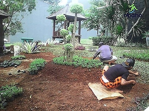 Taman Kediri - Tukang Taman Kediri 14