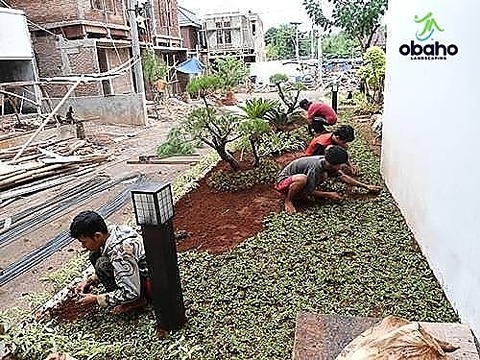 Taman Kediri - Tukang Taman Kediri 19