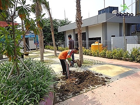 Taman Kediri - Tukang Taman Kediri 20