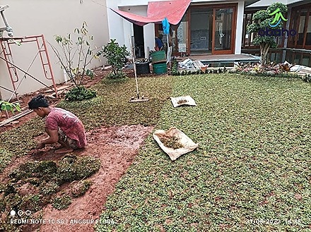 Taman Kediri - Tukang Taman Kediri 4